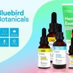 Bluebird Botanicals CBD: Review and Buying Guide in 2020