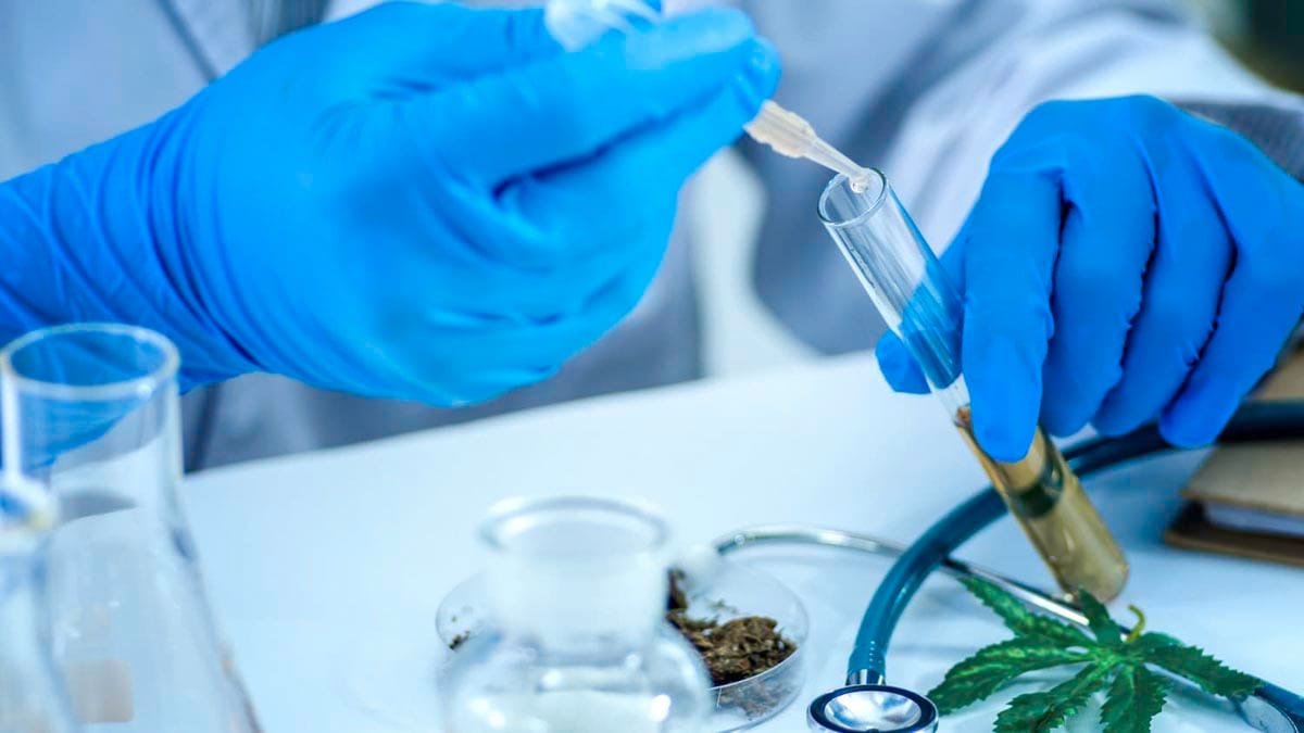 Doctor dosing CBD oil inside a lab