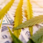 Cannabis-Infused Products Expected to Reach  Billion in Sales in 2020