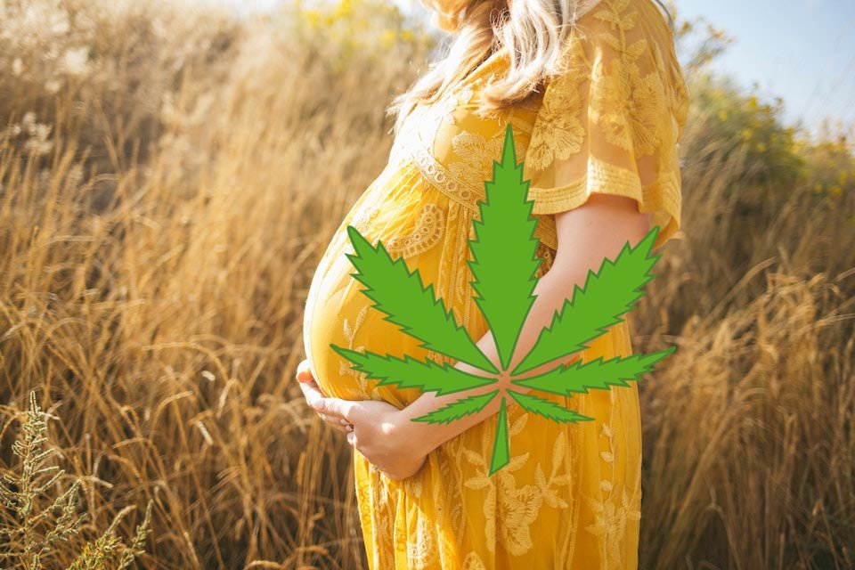 Five benefits of ingesting cannabis during pregnancy