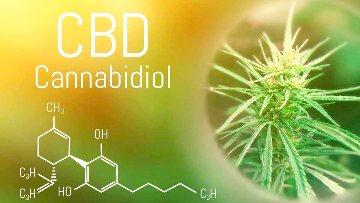 cannabidiol oil chemistry symbol with hemp background