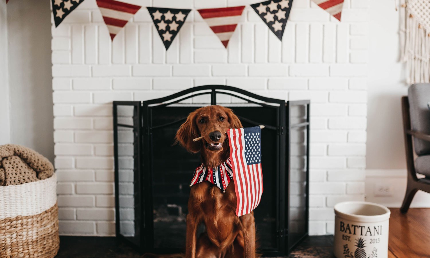 Can CBD Protect Your Dog Against Fireworks Anxiety?