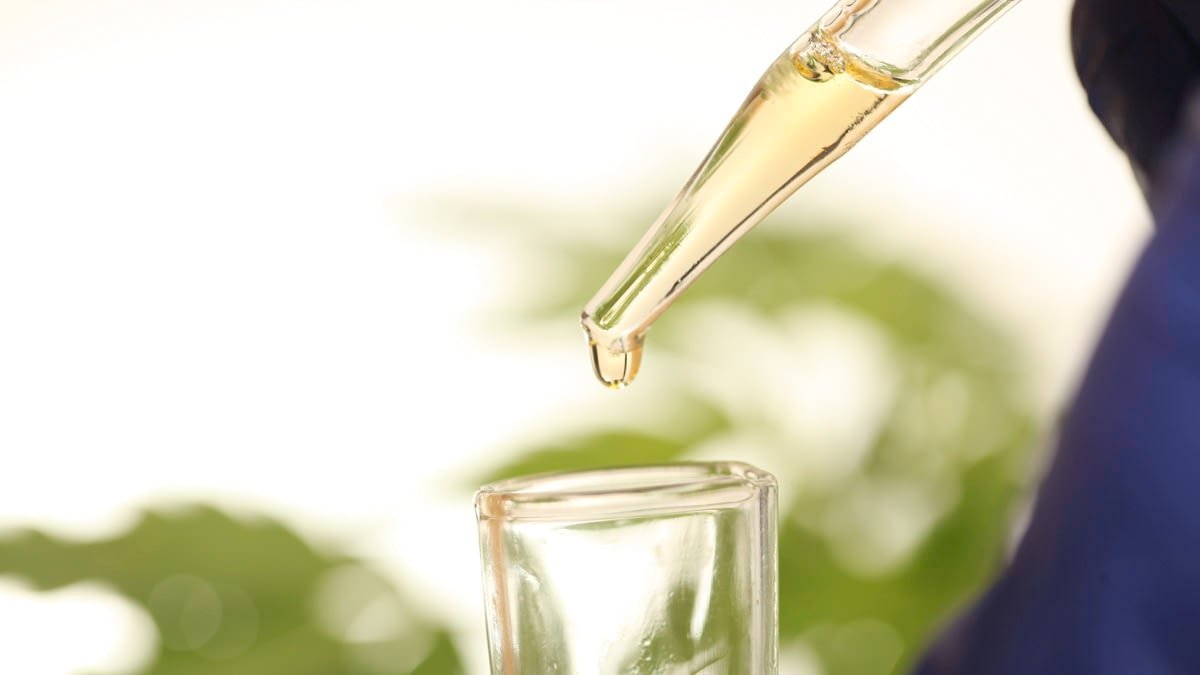 Scientist wearing purple gloves dosing cbd oil inside a glass tube