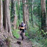 Cycling More During The Pandemic? Here's How CBD Can Help