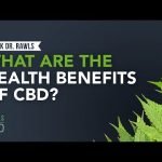 What are the Health Benefits of CBD?