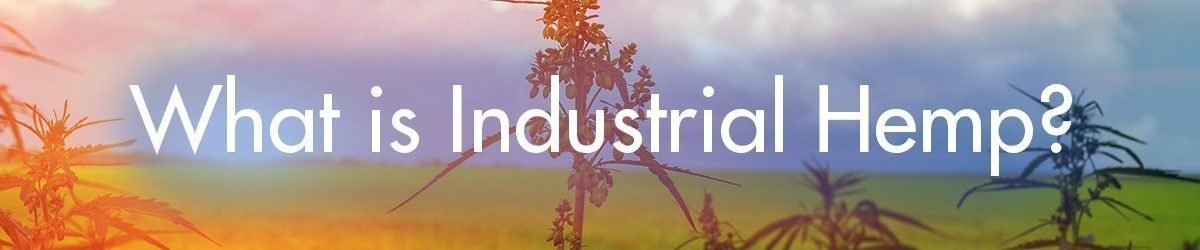 CBD hemp oil products