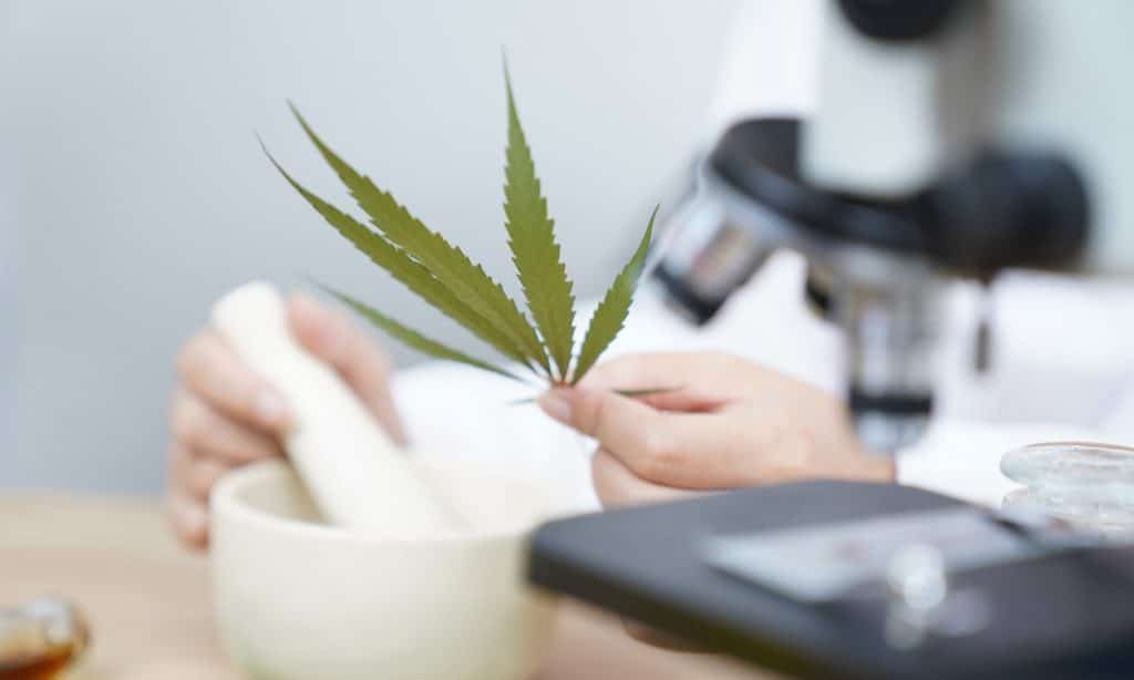 Scientists Identify Optimal Legal Age For Smoking Mairjuana