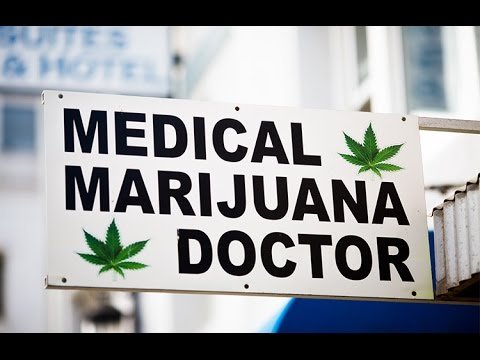 Doctors Advocating for Cannabis Treatment