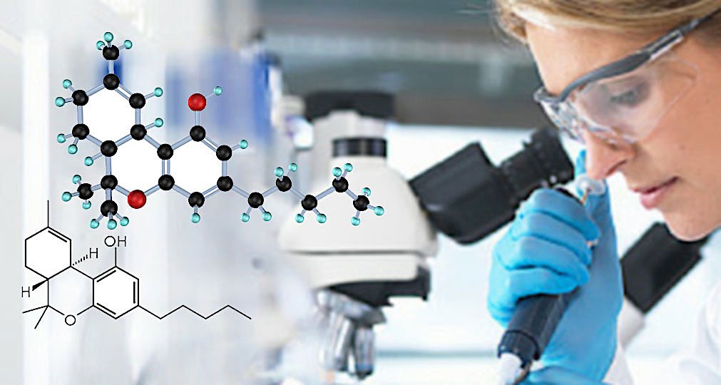 thc cbd molecules Lab