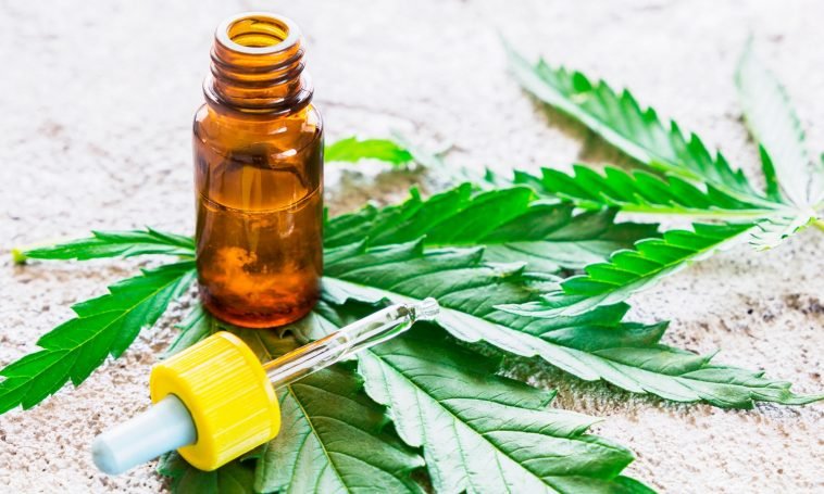 3 Main Differences Between CBD Oil And Hemp Oil
