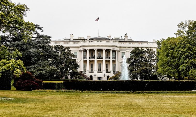 Cannabis Legalization Does Not Depend On The Presidential Election