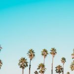 Enforcement Alone Won’t End California’s Illicit Cannabis Market