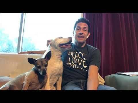 Cures His Dog of Lymphoma Cancer w/ Cannabis Extract!