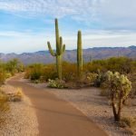 Probability Of Legal Marijuana Already Upsetting Arizona Lawmakers