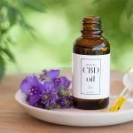 Why Is the CBD Market Exploding?