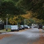 2021 Will Be THE Year For The Northeast Cannabis Market 2021 Will Be THE Year For The Northeast Cannabis Market