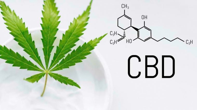 Best CBD Cream for Pain: Salves, Topicals and Lotions Reviews in 2020