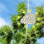 How CBD can help control Parkinson's symptoms