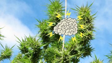 How CBD can help control Parkinson's symptoms