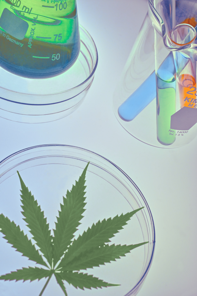 Cannabinoids Coming Out of the Closet: Who’s lurking in the shadows of THC and CBD?