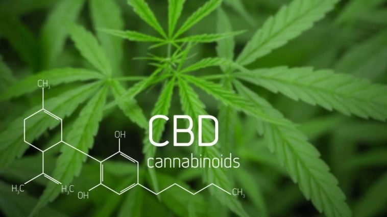 CBD Oil for Nausea: Does It Help With Vomiting & Upset Stomach?