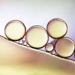 Is Pure CBD The Most Medicinal Part of Cannabis?