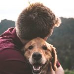 What Pet Owners Should Know About Cannabis And CBD Products
