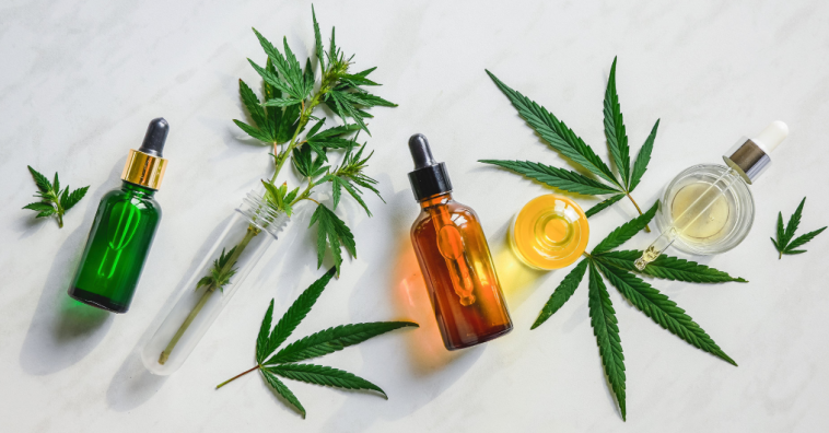 5 Best CBD Oils on the Market Today 5 Best CBD Oils on the Market Today