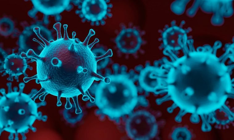 New Studies Show Marijuana Effective At Treating COVID-19 Symptoms New Studies Show Marijuana Effective At Treating COVID-19 Symptoms