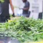 Does Oregon’s Eviction Moratorium Apply To Cannabis Businesses?