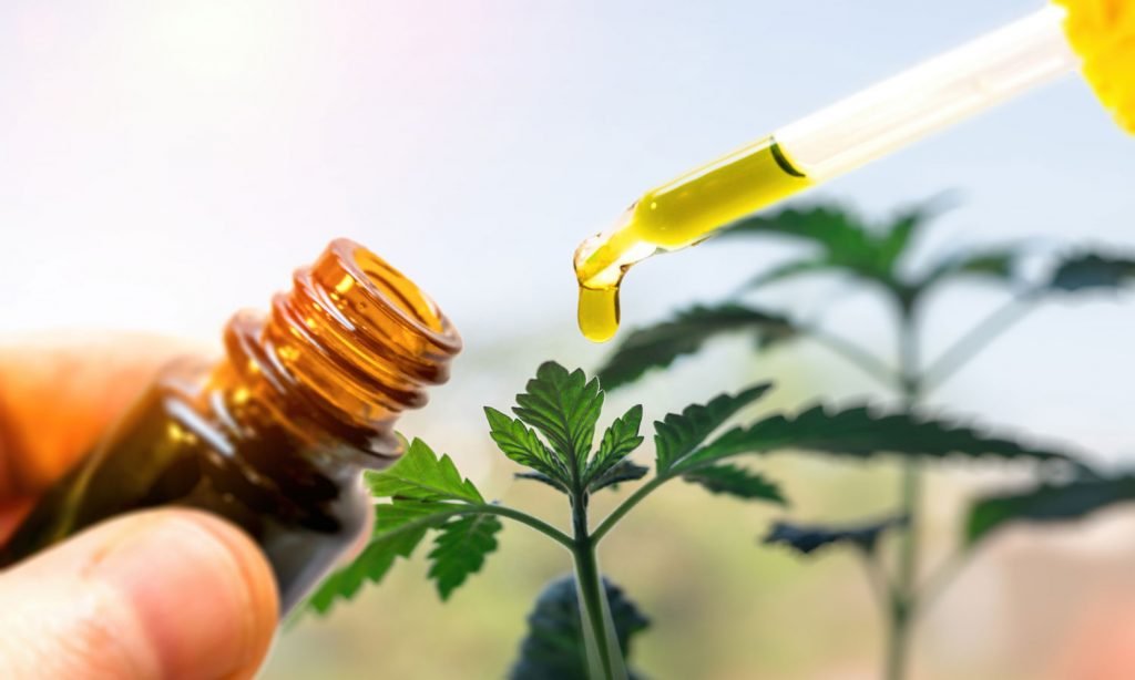 the cbd you just bought might be bogus