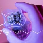 Cannabis 101: Why Doesn't CBD Get You Stoned? Cannabis 101: Why Doesn't CBD Get You Stoned?