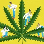 Do You Have the Heart for Marijuana?