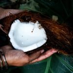 Cannabis And Coconut Oil: The Wellness Power Couple