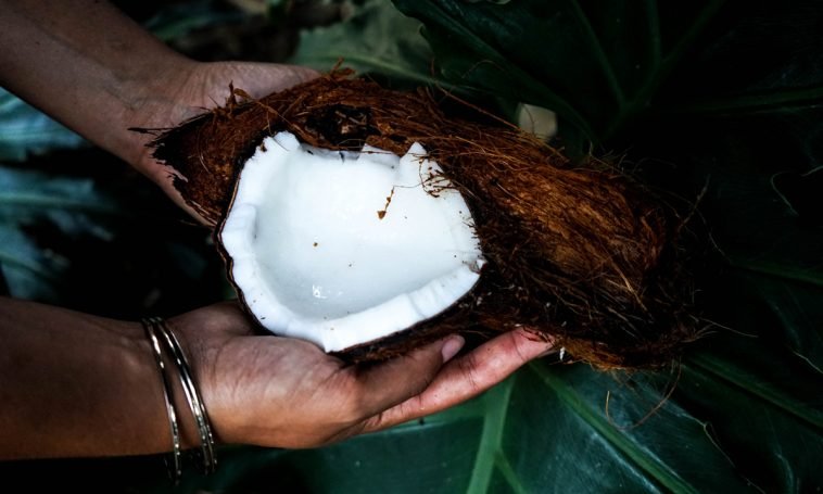 Cannabis And Coconut Oil: The Wellness Power Couple