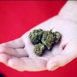 Is Marijuana Addictive? Let's Discuss