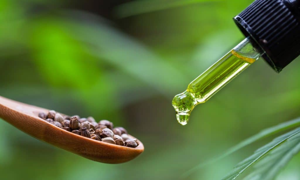 Is CBD An Effective Detox Product?