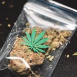 Maine Begins Recreational Cannabis Sales Today