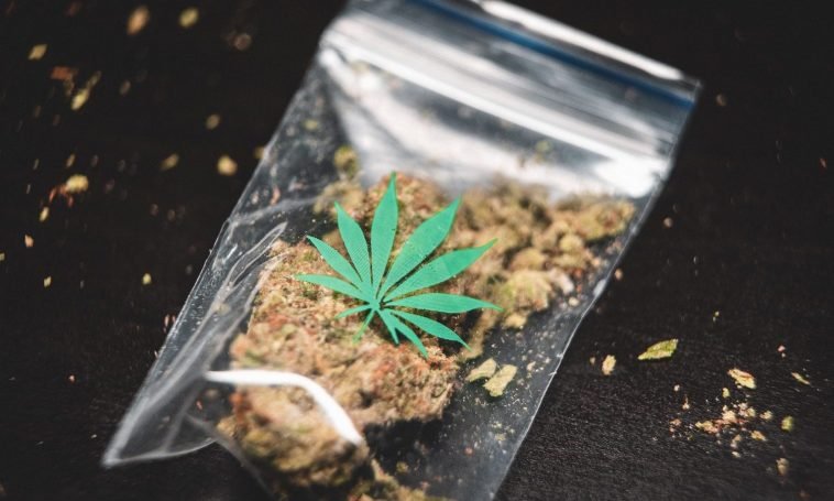 Maine Begins Recreational Cannabis Sales Today