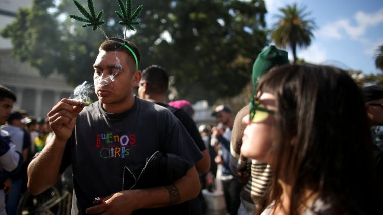 Argentina to Allow Medicinal Marijuana to Be Grown at Home