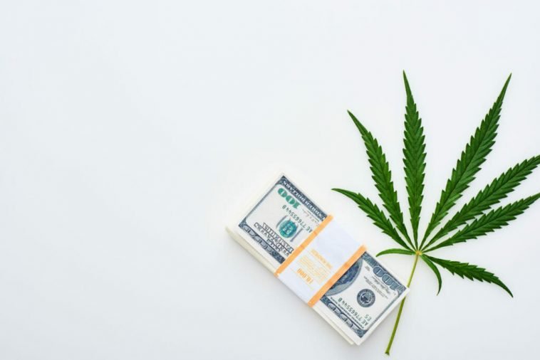 Cannabis Fundraising: Seven Key Takeaways from the SEC’s New Accredited Investor Rules