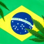 Cannabis Trademarking in Brazil