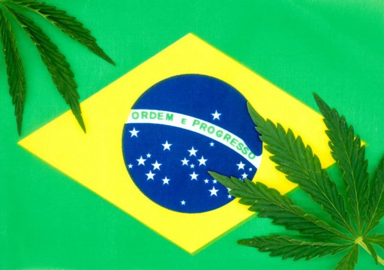 Cannabis Trademarking in Brazil