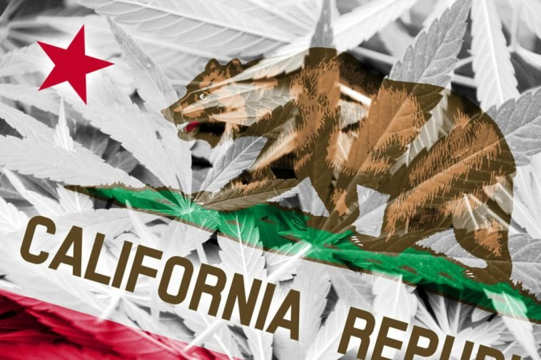 California Voters Expand Commercial Cannabis Opportunities Across the State: Part I