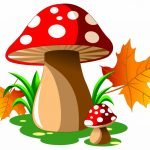 Citywide Psychedelic Decriminalization Doesn’t Protect Commercial Activities