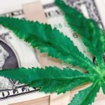 Election Results Getting You Stoked About Cannabis Stocks? Here's How To Invest