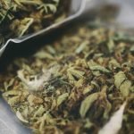 The Progressive Impact Psychedelics & Cannabis Are Having Within The Medical Community