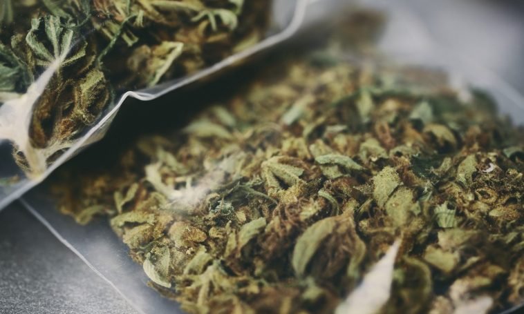 The Progressive Impact Psychedelics & Cannabis Are Having Within The Medical Community