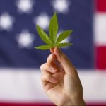 Could Marijuana Legalization Unite A Divided Country?