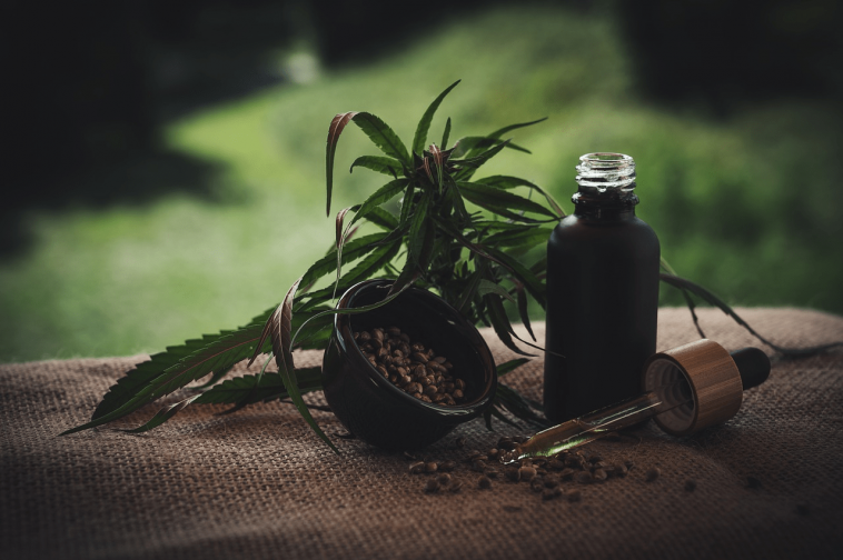 Hemp-derived CBD Vs. Marijuana-derived CBD: What’s The Difference?